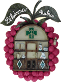 Lékárna Rubus logo